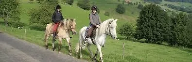 Restaurant La Croix D'or Hotel