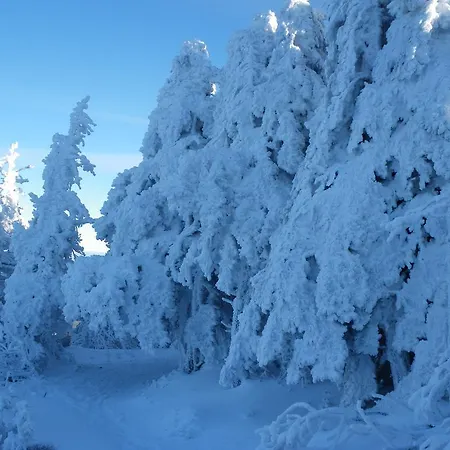 Restaurant La Croix D'or