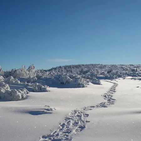 Hotel Restaurant La Croix D'or 2*