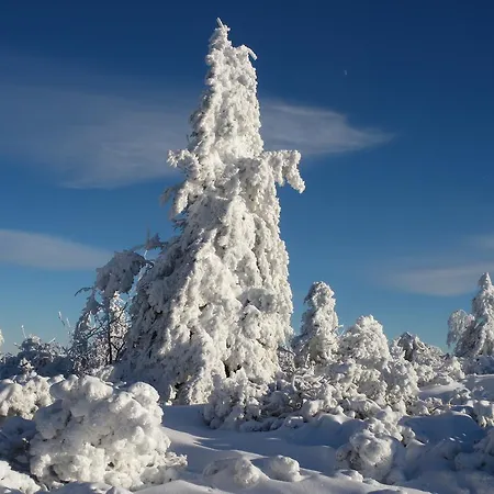 Restaurant La Croix D'or Hotel 2*