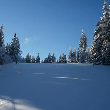 Hotel Restaurant La Croix D'or 2*