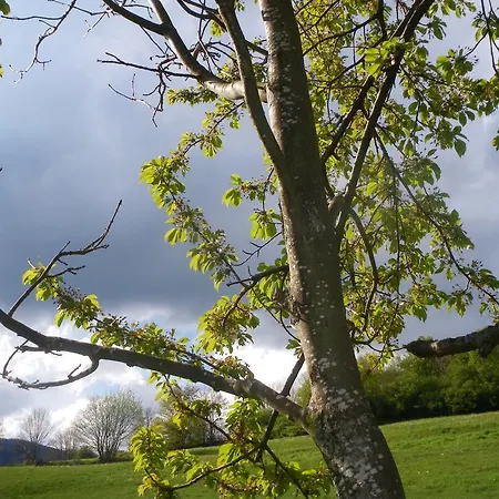 Restaurant La Croix D'or 2*