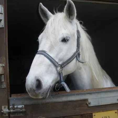 Restaurant La Croix D'or 2*