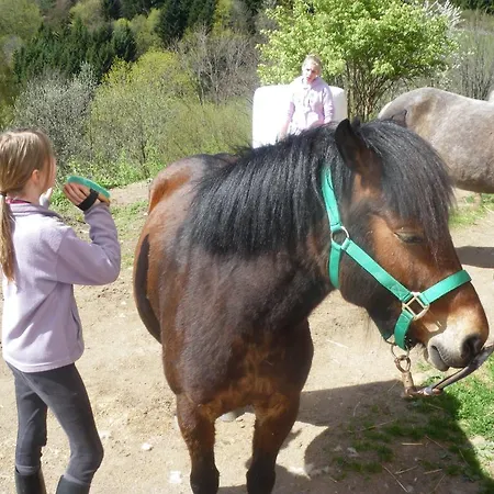 Restaurant La Croix D'or Hotel Orbey
