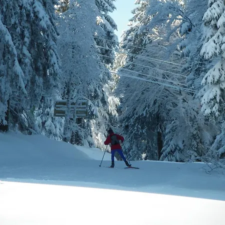 Restaurant La Croix D'or Orbey