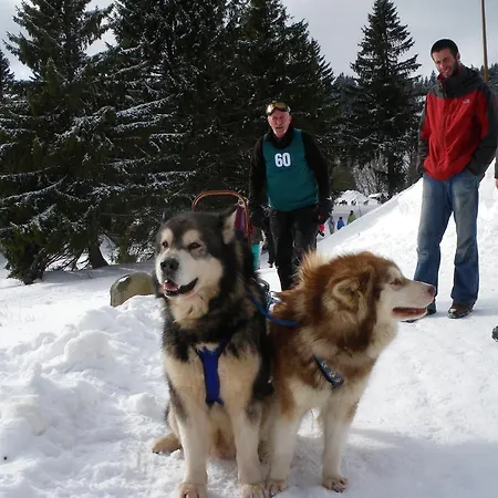 Restaurant La Croix D'or Orbey