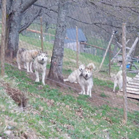 Restaurant La Croix D'or Orbey