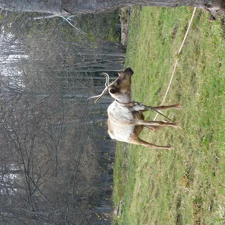Hotel Restaurant La Croix D'or 2*
